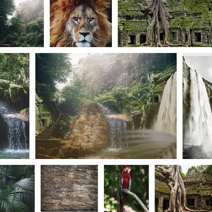 regroupement d'image avec au centre le photomontage et autour les images utilisées pour le réaliser